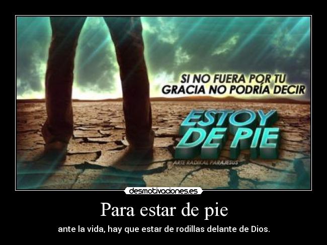 carteles animo desmotivaciones