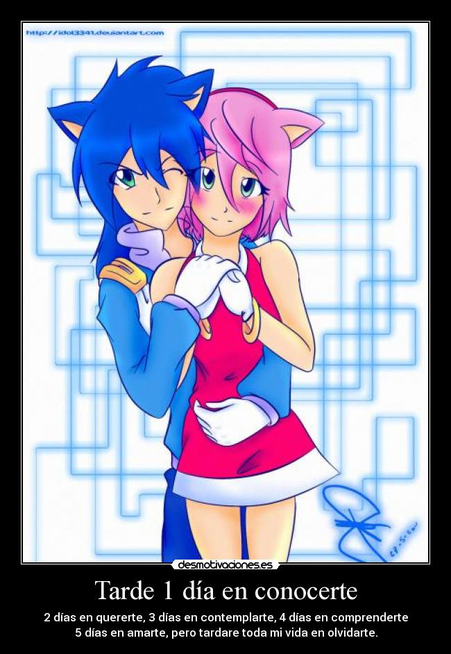 carteles sonamy sonic amyrose amythehedgehog sonicthehedgehog amor desmotivaciones