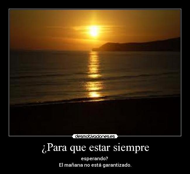 carteles kimii9 desmotivaciones