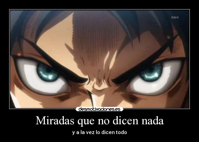 Miradas que no dicen nada - y a la vez lo dicen todo