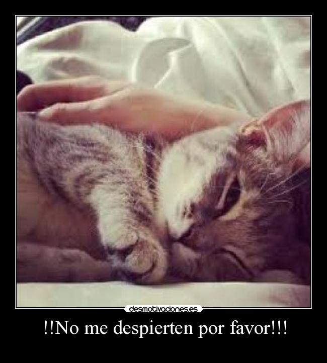 !!No me despierten por favor!!! - 