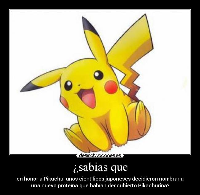 ¿sabias que - en honor a Pikachu, unos científicos japoneses decidieron nombrar a
una nueva proteína que habían descubierto Pikachurina?
