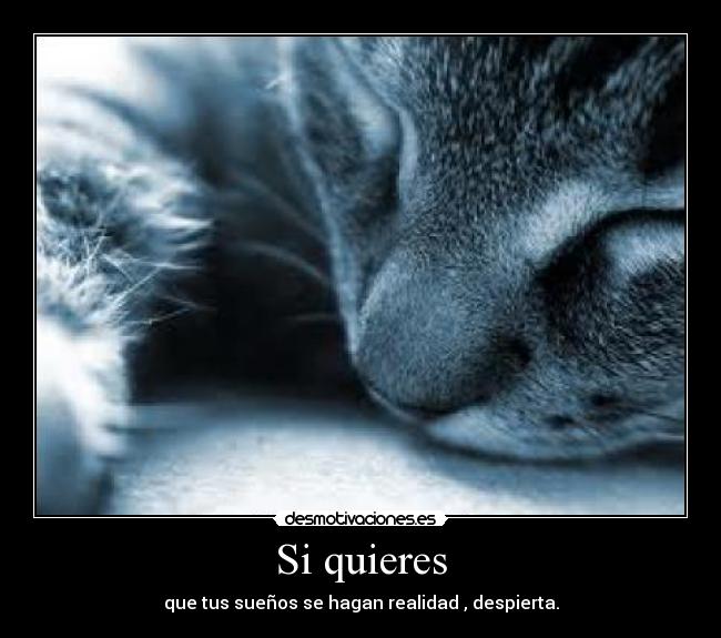 Si quieres -