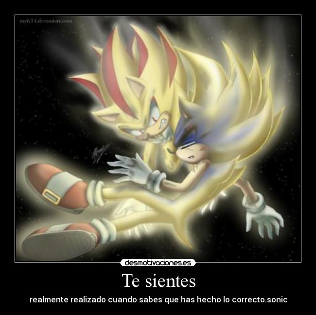 Te sientes - realmente realizado cuando sabes que has hecho lo correcto.sonic