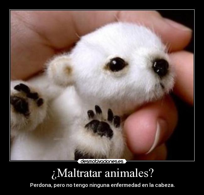 ¿Maltratar animales? - 