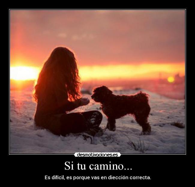 Si tu camino... - Es difícil, es porque vas en diección correcta.