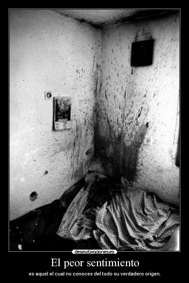 El peor sentimiento - es aquel el cual no conoces del todo su verdadero origen.