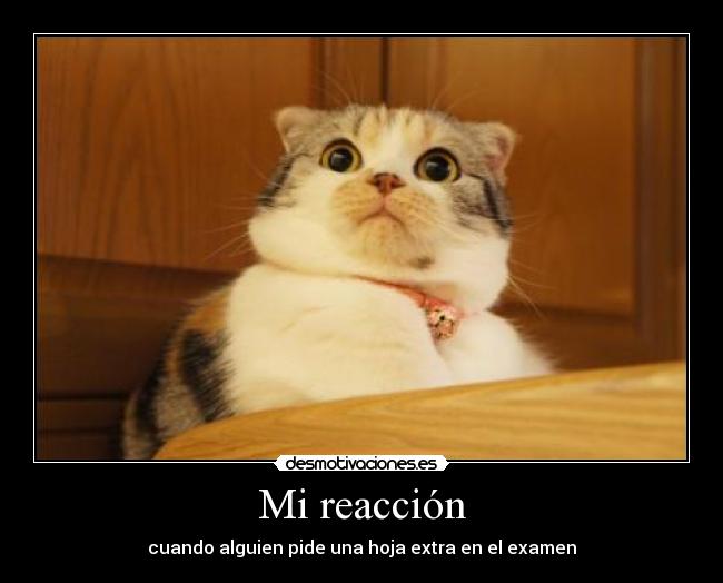 carteles epoca examenes workinghard summer13 vamos all desmotivaciones