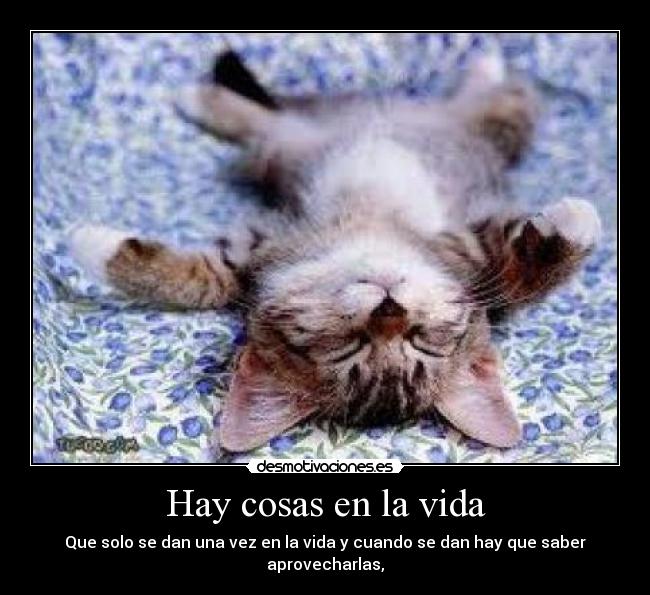 Hay cosas en la vida - Que solo se dan una vez en la vida y cuando se dan hay que saber aprovecharlas,