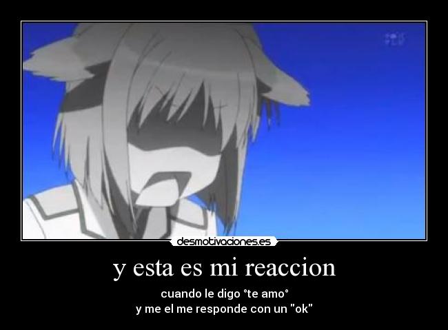 y esta es mi reaccion - cuando le digo °te amo°
y me el me responde con un ok