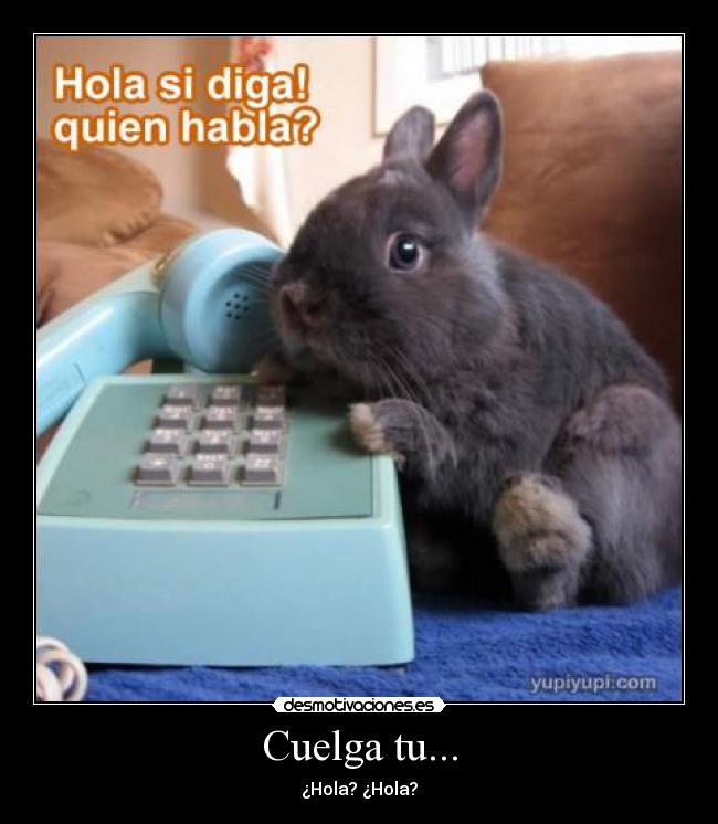 Cuelga tu... - ¿Hola? ¿Hola?