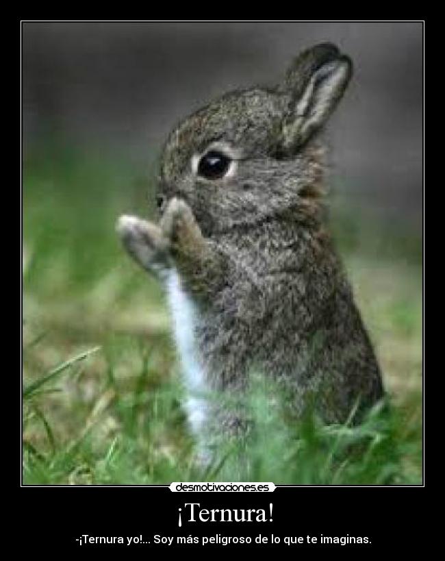 ¡Ternura! - -¡Ternura yo!... Soy más peligroso de lo que te imaginas.