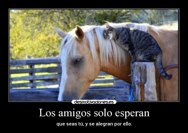 Los amigos solo esperan - que seas tú, y se alegran por ello.