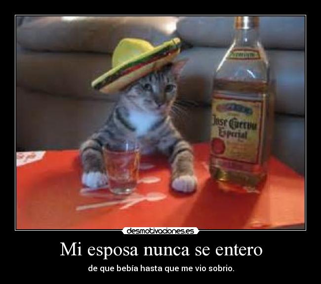 carteles cats 5del12 intruders tumblr desmotivaciones