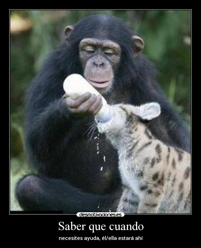 Saber que cuando - necesites ayuda, él/ella estará ahí