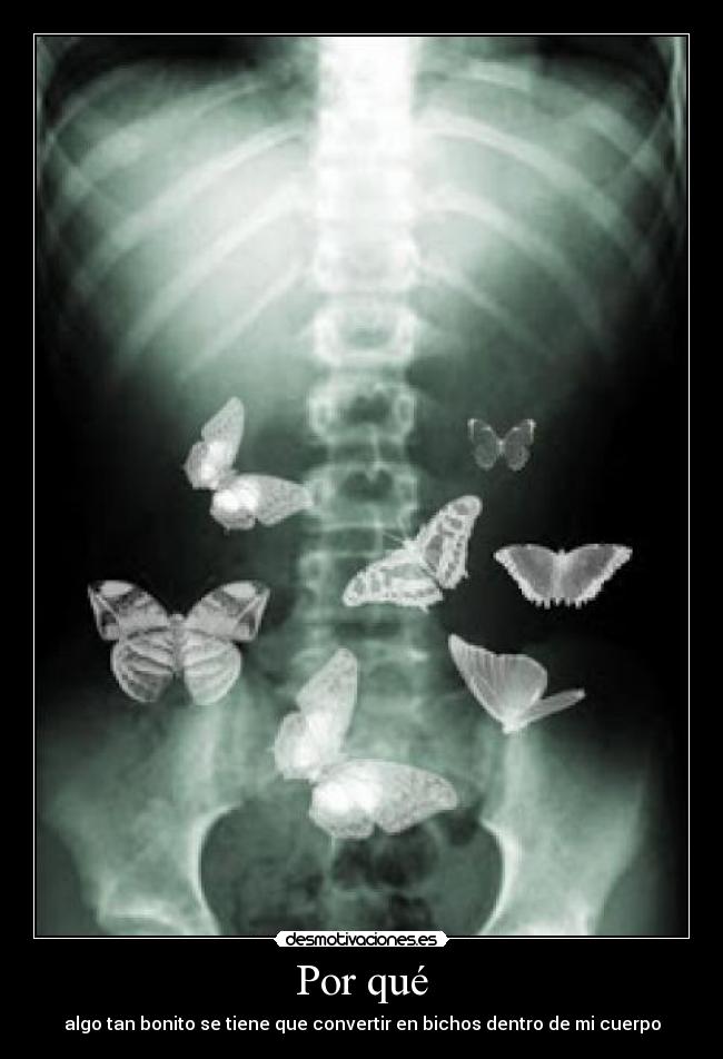 carteles canso sentir gilipolleces desmotivaciones