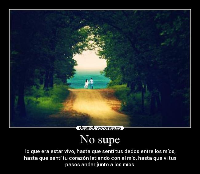 No supe - lo que era estar vivo, hasta que sentí tus dedos entre los míos,
hasta que sentí tu corazón latiendo con el mío, hasta que vi tus
pasos andar junto a los míos.