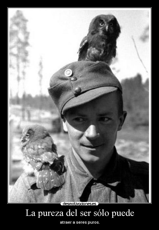 La pureza del ser sólo puede -