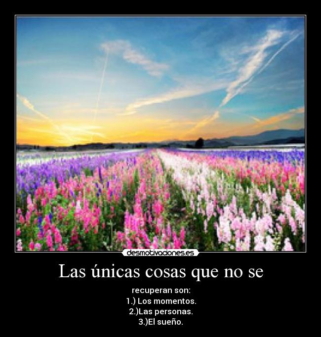 Las únicas cosas que no se - recuperan son:
1.) Los momentos.
2.)Las personas.
3.)El sueño.