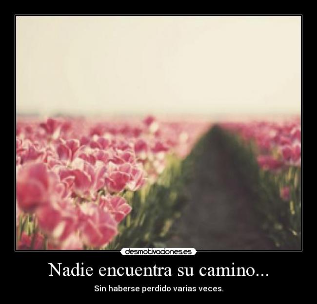 carteles via lactea desmotivaciones