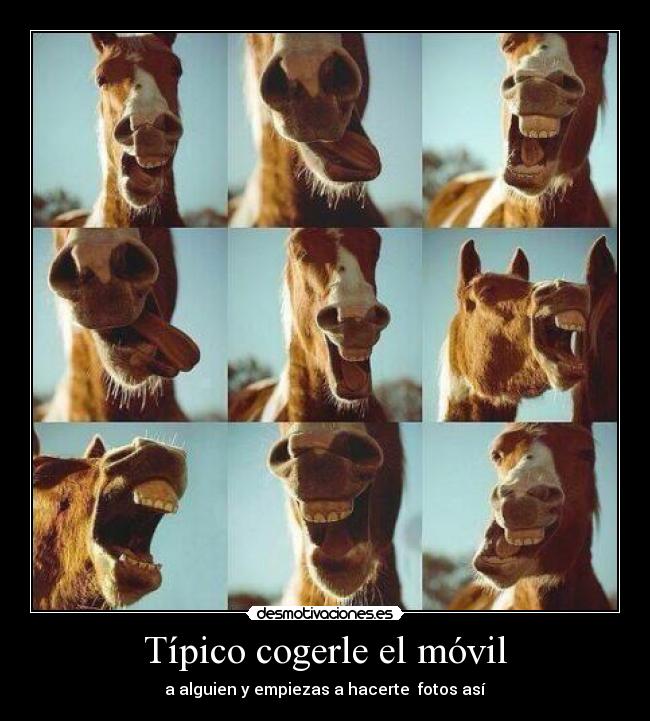 Típico cogerle el móvil - a alguien y empiezas a hacerte fotos así