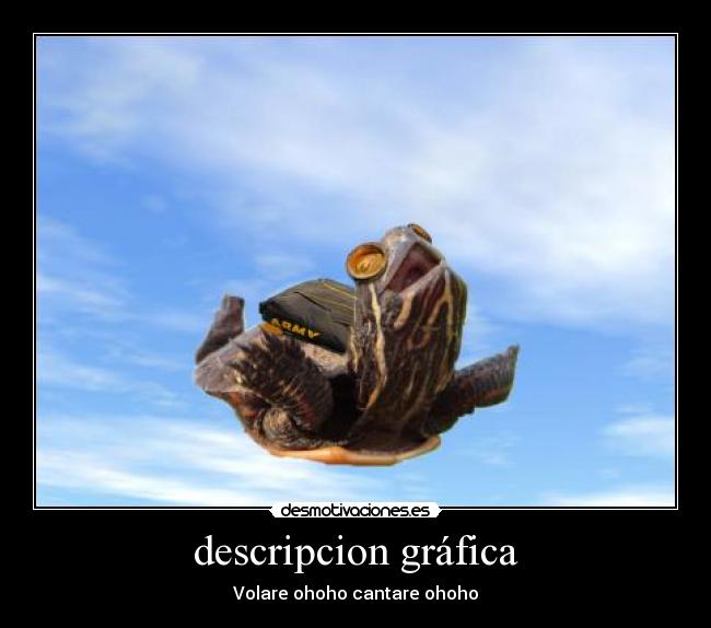 descripcion gráfica - Volare ohoho cantare ohoho