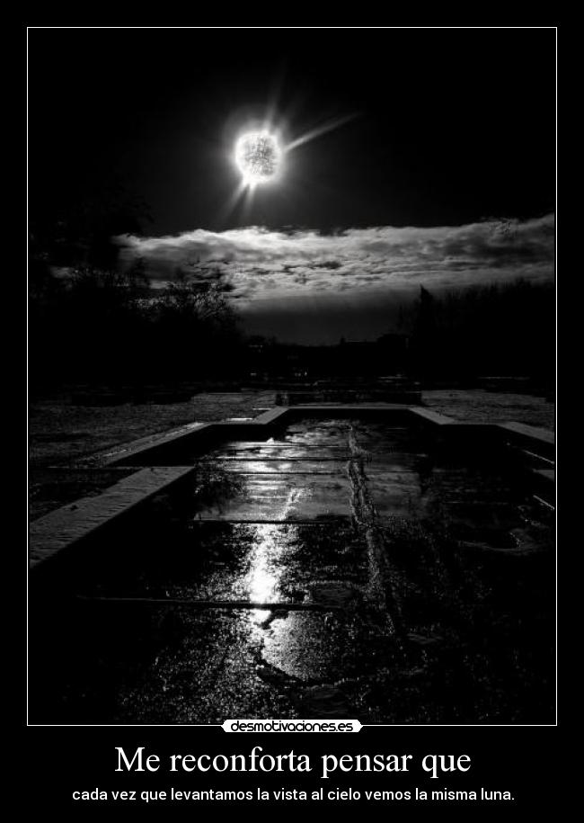 Me reconforta pensar que - 