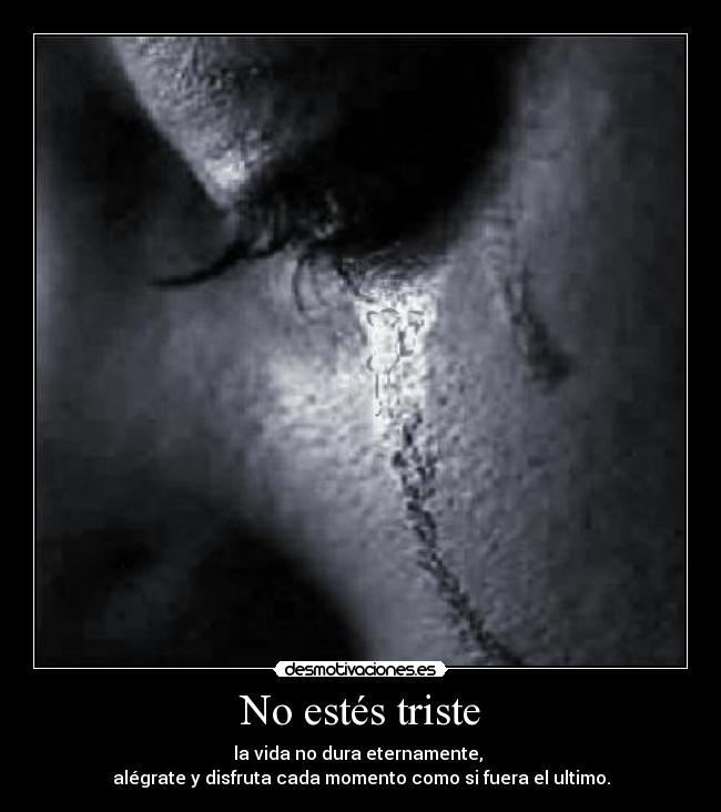 No estés triste - la vida no dura eternamente,
alégrate y disfruta cada momento como si fuera el ultimo.