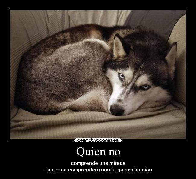 Quien no - comprende una mirada
tampoco comprenderá una larga explicación