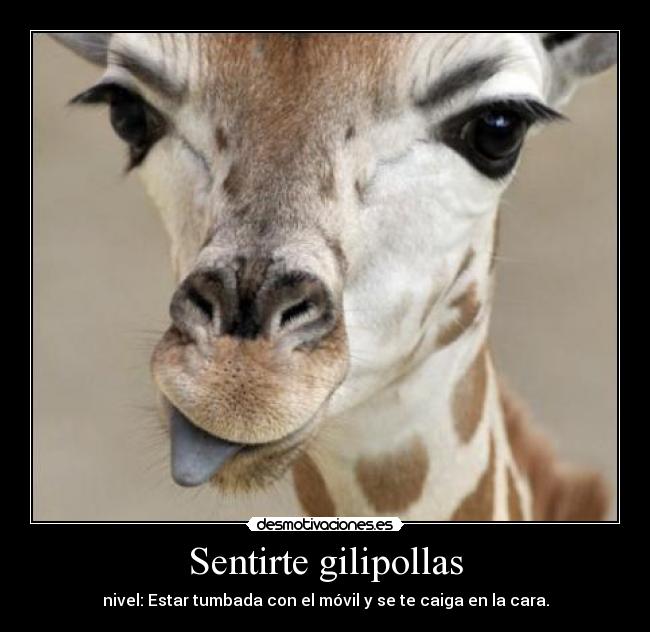 Sentirte gilipollas - nivel: Estar tumbada con el móvil y se te caiga en la cara.