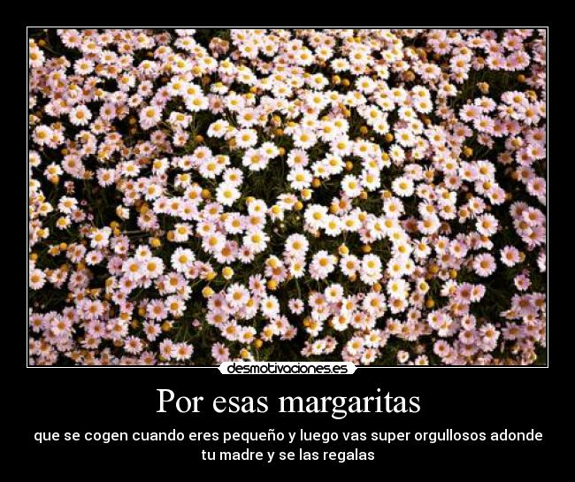 Por esas margaritas - 