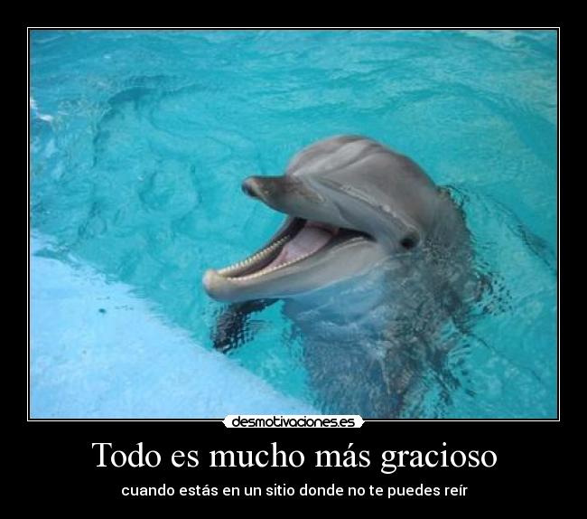 Todo es mucho más gracioso -