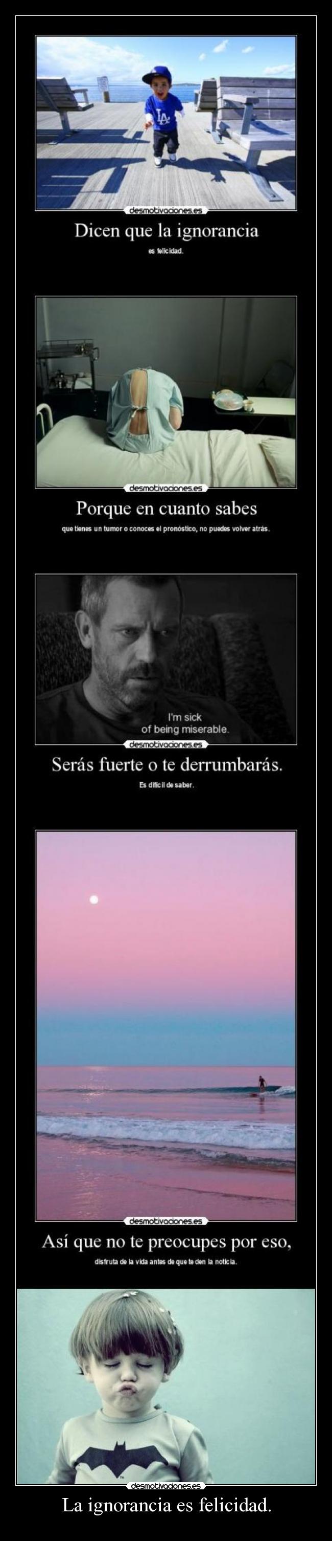 La ignorancia es felicidad. - 