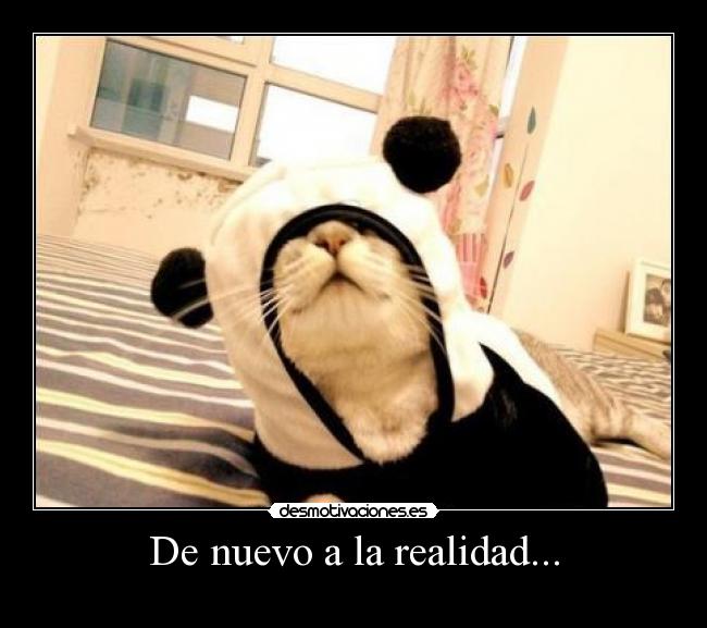 De nuevo a la realidad... -