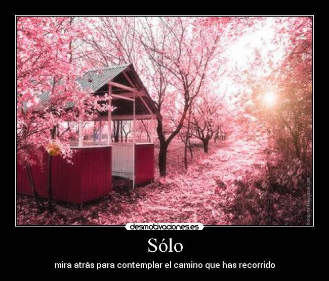 Sólo - 