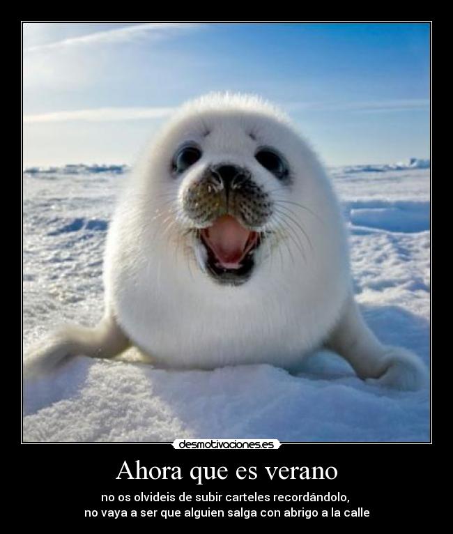 Ahora que es verano - no os olvideis de subir carteles recordándolo,
no vaya a ser que alguien salga con abrigo a la calle