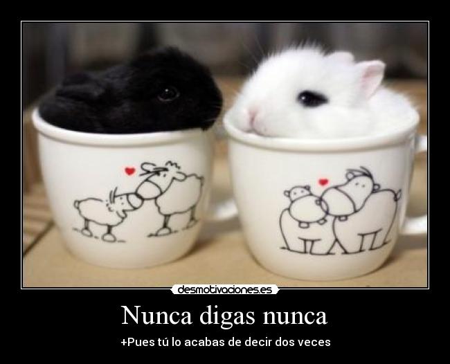 Nunca digas nunca - +Pues tú lo acabas de decir dos veces
