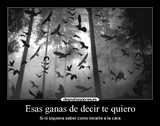 carteles laia lazaro desmotivaciones