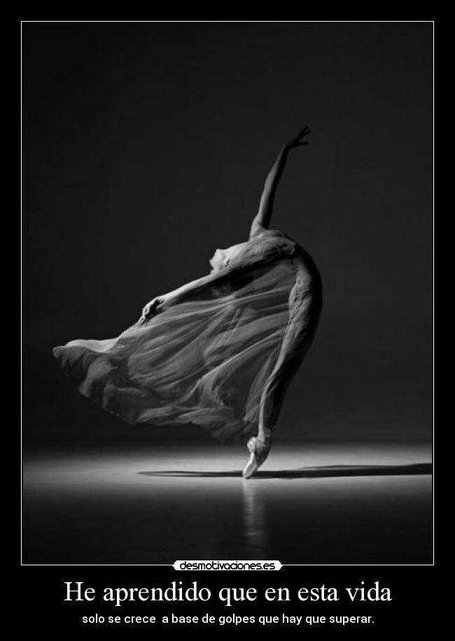He aprendido que en esta vida - solo se crece a base de golpes que hay que superar.
