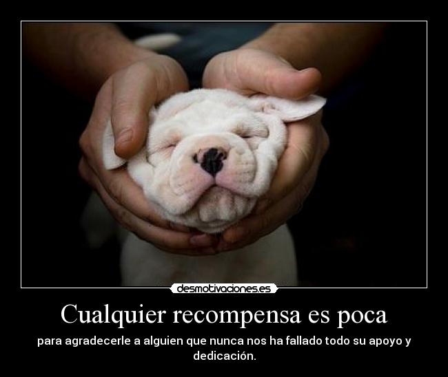 Cualquier recompensa es poca -