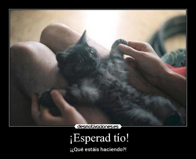 ¡Esperad tío! - ¡¿Qué estáis haciendo?!