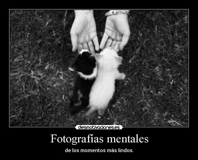 Fotografías mentales -