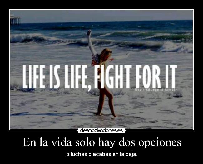 En la vida solo hay dos opciones - o luchas o acabas en la caja.