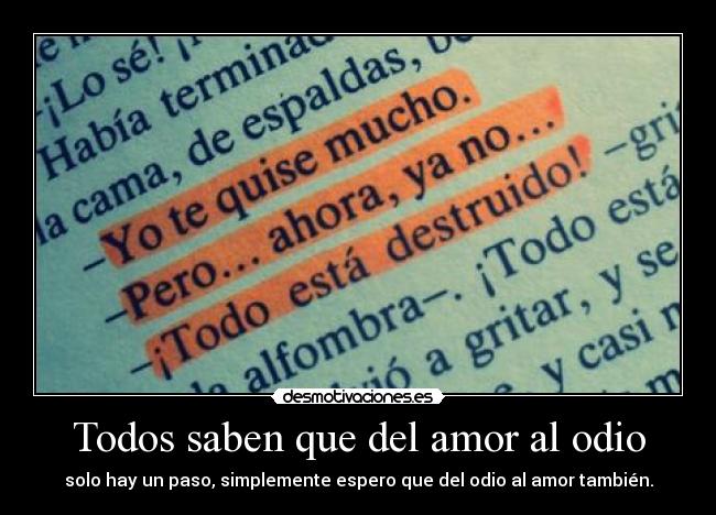 Todos saben que del amor al odio - solo hay un paso, simplemente espero que del odio al amor también.