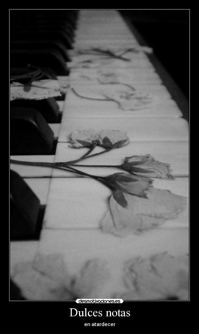 Dulces notas - en atardecer
