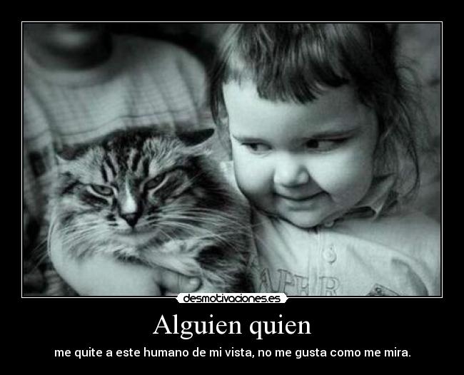 Alguien quien - 