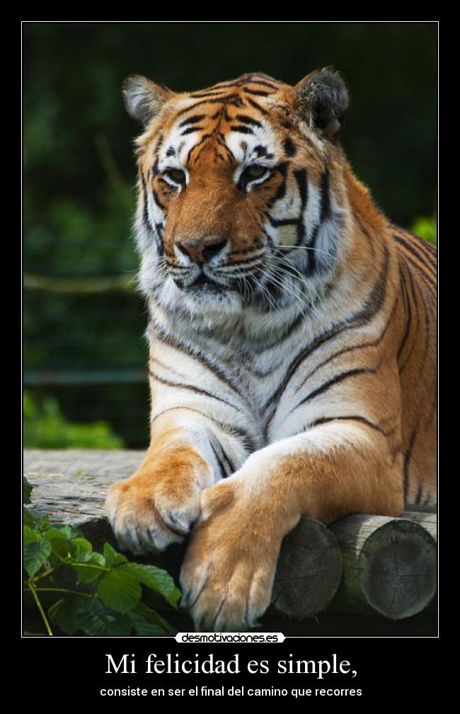 Mi felicidad es simple, - consiste en ser el final del camino que recorres