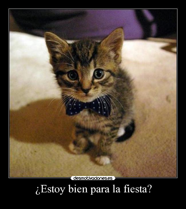 ¿Estoy bien para la fiesta? -