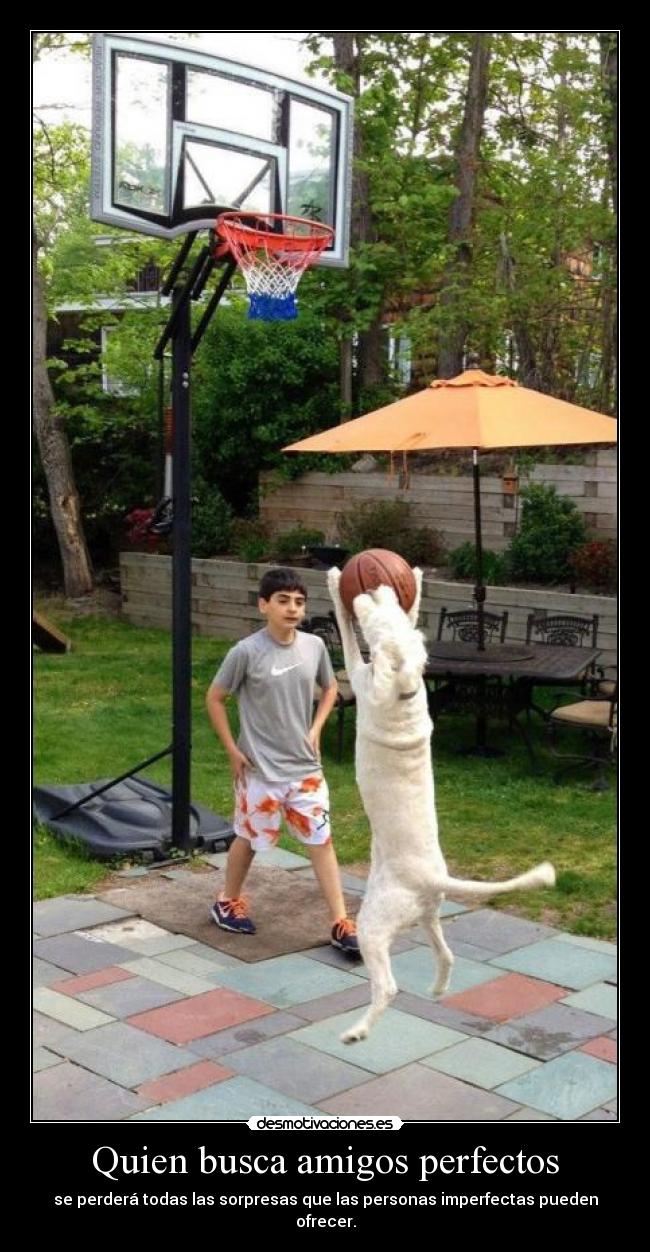 Quien busca amigos perfectos - 