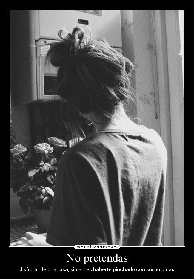 No pretendas - disfrutar de una rosa, sin antes haberte pinchado con sus espinas.